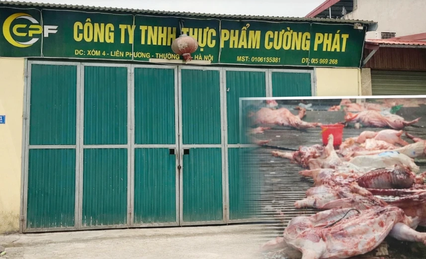 Giám đốc Công an TP Hà Nội: Làm rõ các cán bộ liên quan vụ 300 tấn thịt lợn bệnh Giám đốc Công an TP Hà Nội: Làm rõ các cán bộ liên quan vụ 300 tấn thịt lợn bệnh
