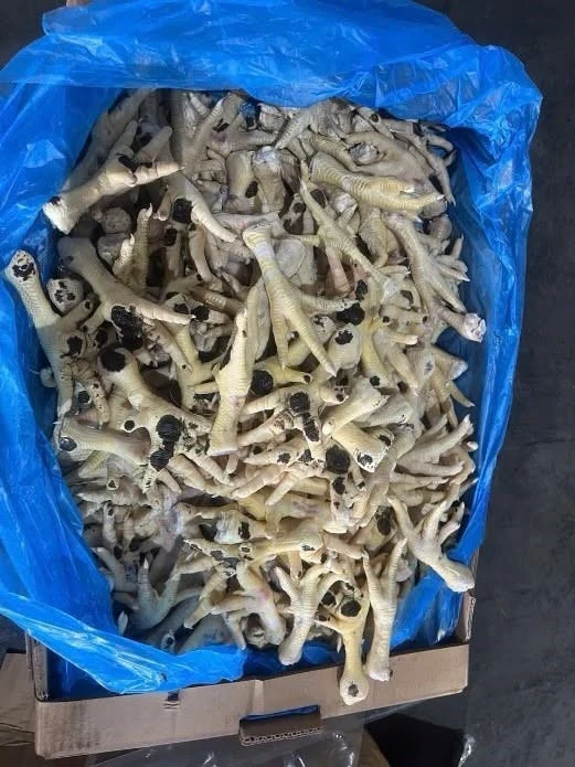 Giám đốc công ty bị bắt vì bán hơn 10.000 tấn chân gà nhập lậu ra thị trường Giám đốc công ty bị bắt vì bán hơn 10.000 tấn chân gà nhập lậu ra thị trường