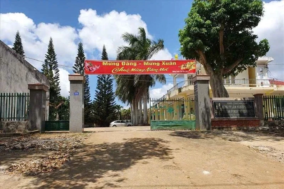 Giám đốc công ty lâm nghiệp bị bắt vì cáo buộc nhận hối lộ Giám đốc công ty lâm nghiệp bị bắt vì cáo buộc nhận hối lộ