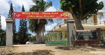 Giám đốc công ty lâm nghiệp bị bắt vì cáo buộc nhận hối lộ