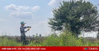 Giấu súng quân dụng trong nhà người thân, hai bị can đối mặt truy tố