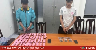 Hà Nội: Bắt 2 đối tượng mua bán cần sa, thu giữ gần 250 gam ma túy