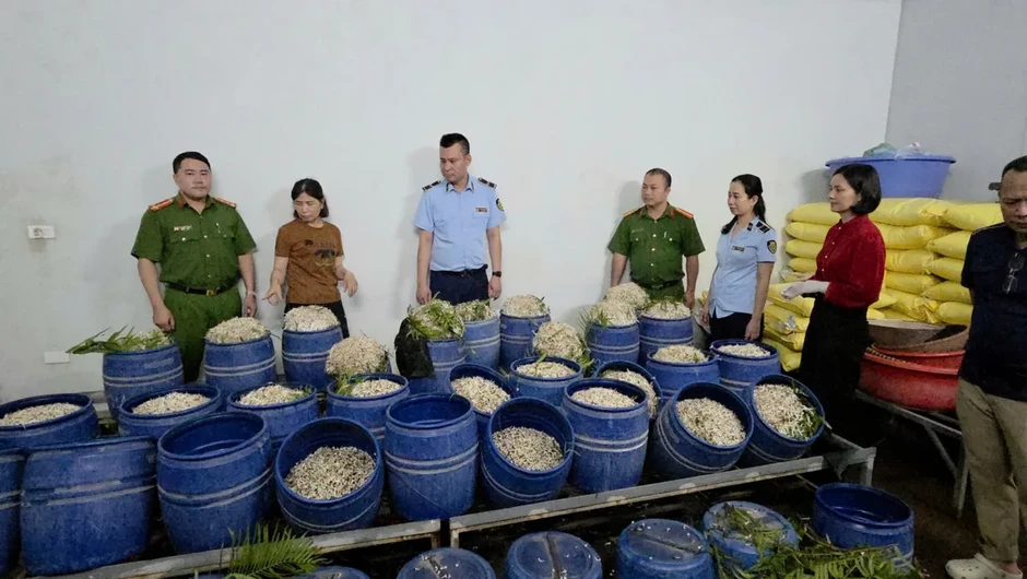 Hai phụ nữ bị khởi tố vì sản xuất gần 1,5 tấn giá đỗ “ngậm” chất cấm Hai phụ nữ bị khởi tố vì sản xuất gần 1,5 tấn giá đỗ “ngậm” chất cấm