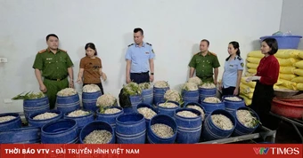 Hai phụ nữ bị khởi tố vì sản xuất gần 1,5 tấn giá đỗ “ngậm” chất cấm