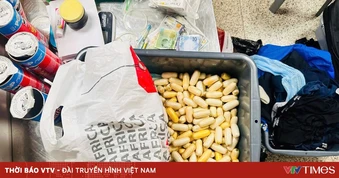 Hải quan phát hiện 8.879 vụ buôn lậu, trị giá hơn 8.000 tỷ đồng