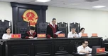 Hai "ông trùm" vụ 187.000 lon sữa giả lĩnh án 30 năm tù