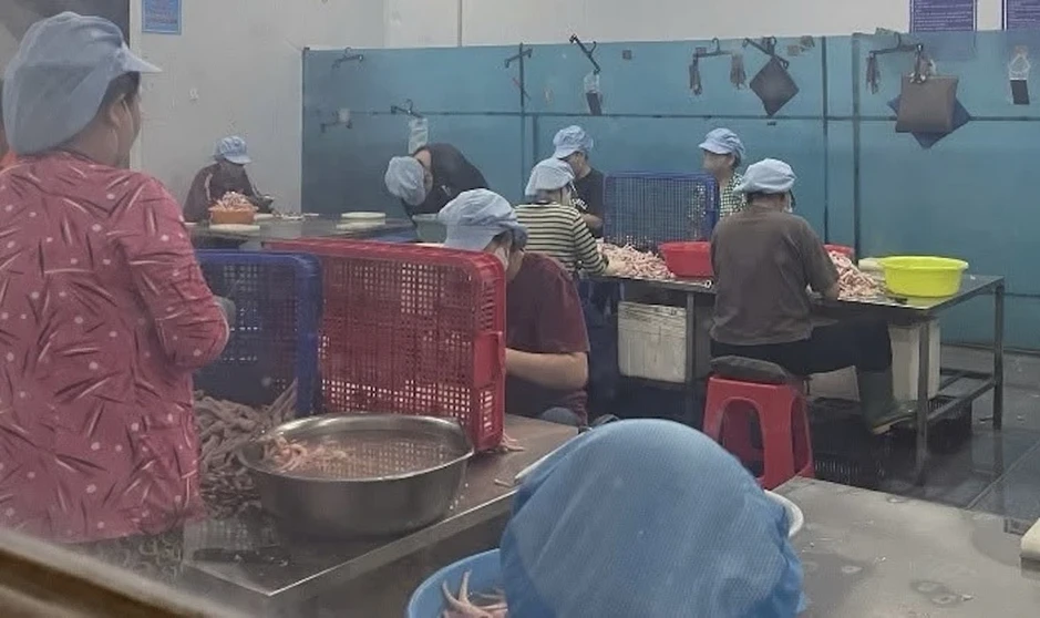 Hàng tấn chân gà hết hạn sử dụng tại công ty sản xuất chân gà rút xương Hàng tấn chân gà hết hạn sử dụng tại công ty sản xuất chân gà rút xương