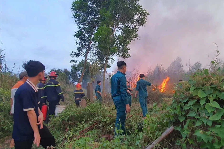 Hàng trăm người xuyên đêm khống chế cháy cỏ gần khu dân cư ở TP.HCM Hàng trăm người xuyên đêm khống chế cháy cỏ gần khu dân cư ở TP.HCM