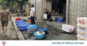 Hộ kinh doanh trâu Thúy Hằng bị xử lý vi phạm về bảo vệ môi trường