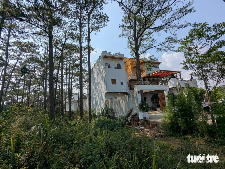 Hồ sơ lô 'đất vàng' bán đấu giá ở Măng Đen rộng 7m, nhưng đo thực tế chưa đầy... 6m Hồ sơ lô 'đất vàng' bán đấu giá ở Măng Đen rộng 7m, nhưng đo thực tế chưa đầy... 6m