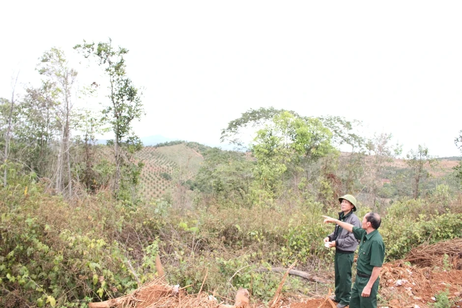 Hoãn phiên tòa vụ 6 cựu chiến binh kêu oan tội hủy hoại rừng Hoãn phiên tòa vụ 6 cựu chiến binh kêu oan tội hủy hoại rừng
