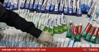 Hôm nay, xét xử 227 bị cáo trong chuyên án ma túy VN10