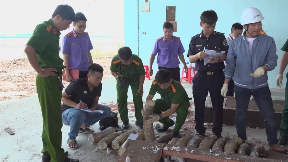 Hơn 1,1 tấn ngà voi cất giấu tinh vi trong 3 container gỗ, phủ kín bằng sáp Hơn 1,1 tấn ngà voi cất giấu tinh vi trong 3 container gỗ, phủ kín bằng sáp