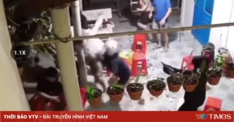 Hơn 150 giờ truy vết, bắt băng nhóm manh động dùng súng cao su, dao tự chế tấn công người dân