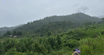 Hơn 150 người đội mưa vào rừng sâu truy tìm nghi can giết em ruột