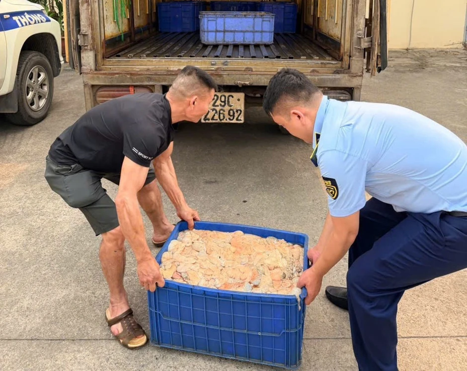 Hưng Yên phát hiện gần 500kg lòng lợn đang phân hủy trên đường đi tiêu thụ