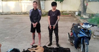 Kẻ trộm chó dùng súng điện bắn người truy đuổi ở Lâm Đồng