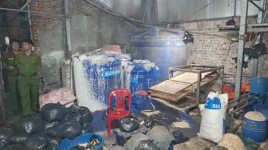 Khởi tố 1 phụ nữ, thu giữ hơn 4 tấn giá đỗ có chất cấm 6-BAP Khởi tố 1 phụ nữ, thu giữ hơn 4 tấn giá đỗ có chất cấm 6-BAP