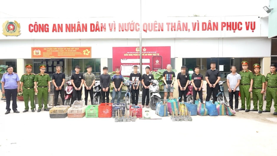 Khởi tố 12 bị can trong đường dây trộm, tiêu thụ 2.700 con mèo Khởi tố 12 bị can trong đường dây trộm, tiêu thụ 2.700 con mèo