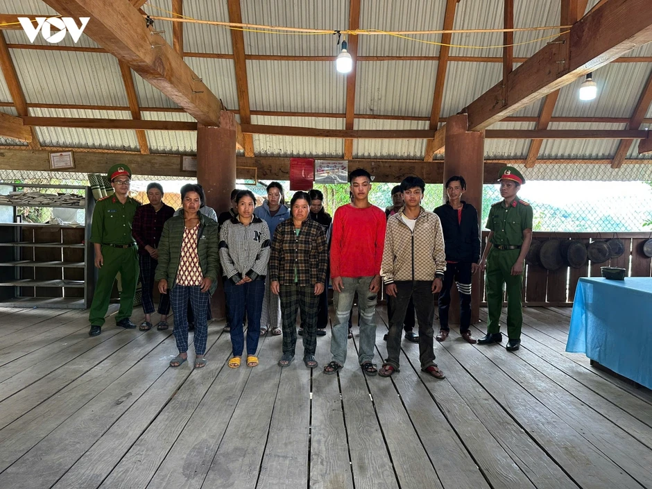Khởi tố 13 đối tượng trộm sâm Ngọc Linh Khởi tố 13 đối tượng trộm sâm Ngọc Linh