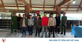 Khởi tố 13 đối tượng trộm sâm Ngọc Linh