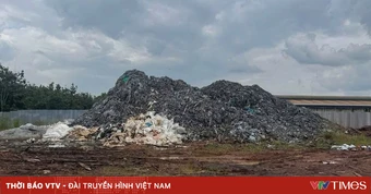 Khởi tố 2 đối tượng đổ hơn 567 tấn da bò phế thải ra môi trường