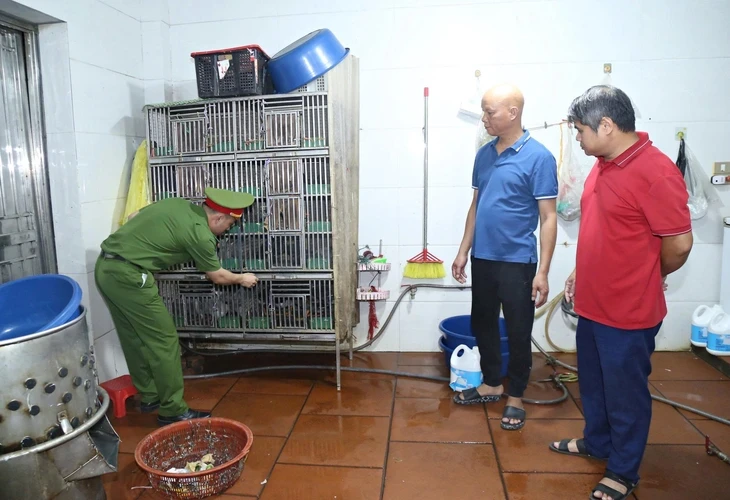 Khởi tố 2 người mua da, xương hổ nấu cao và 1 người giết mổ chim hoang dã Khởi tố 2 người mua da, xương hổ nấu cao và 1 người giết mổ chim hoang dã