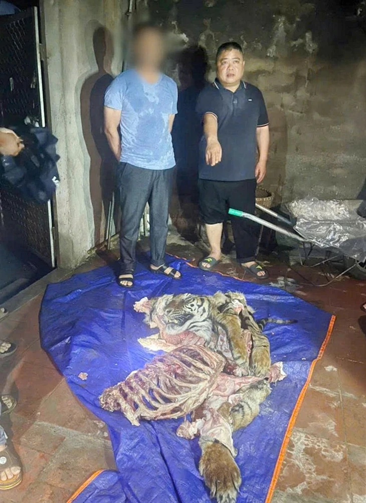 Khởi tố 2 người mua da, xương hổ nấu cao và 1 người giết mổ chim hoang dã Khởi tố 2 người mua da, xương hổ nấu cao và 1 người giết mổ chim hoang dã