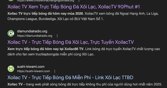 Khởi tố 2 "ông trùm" liên quan đến hệ thống "Xôi Lạc TV"