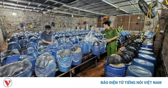Khởi tố 3 chủ cơ sở dùng "nước kẹo" độc hại để sản xuất giá đỗ