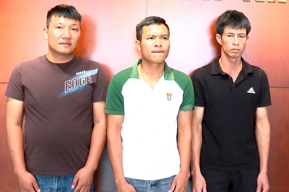 Khởi tố 3 đối tượng mua bán lợn nhiễm dịch tả Châu Phi Khởi tố 3 đối tượng mua bán lợn nhiễm dịch tả Châu Phi