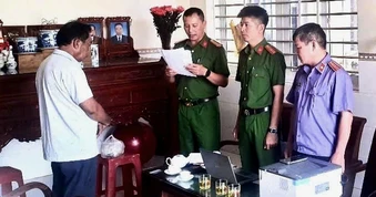 Khởi tố 3 người để "biến mất" 4.456 cây muồng