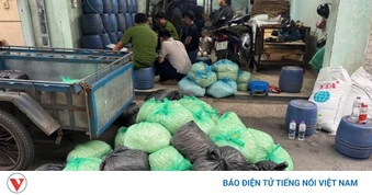 Khởi tố 4 bị can sản xuất hơn 1.000 tấn giá đỗ ngâm hóa chất