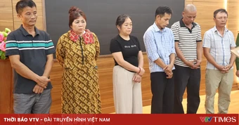 Khởi tố 6 đối tượng trong đường dây vận chuyển, mua bán hơn 250 tấn lợn bệnh