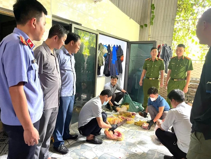Khởi tố, bắt giam người đàn ông thu mua heo dịch về giết mổ bán ra thị trường Khởi tố, bắt giam người đàn ông thu mua heo dịch về giết mổ bán ra thị trường