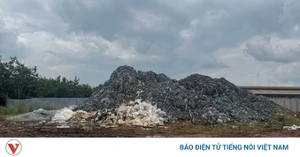 Khởi tố, bắt tạm giam 2 đối tượng đổ trộm hơn 567 tấn da bò phế thải ở Đồng Nai