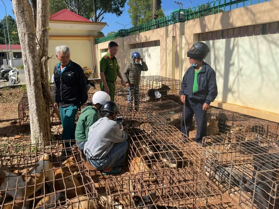 Khởi tố, bắt tạm giam 2 đối tượng gây ra hàng loạt vụ trộm chó tại Đắk Lắk Khởi tố, bắt tạm giam 2 đối tượng gây ra hàng loạt vụ trộm chó tại Đắk Lắk
