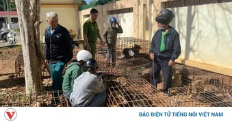 Khởi tố, bắt tạm giam 2 đối tượng gây ra hàng loạt vụ trộm chó tại Đắk Lắk