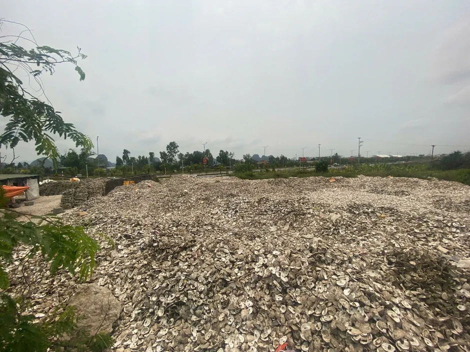 Khởi tố chủ cơ sở chế biến đổ hơn 324.500 kg vỏ hàu ra môi trường Khởi tố chủ cơ sở chế biến đổ hơn 324.500 kg vỏ hàu ra môi trường