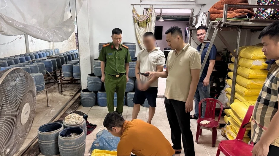 Khởi tố chủ cơ sở ở Quảng Ninh dùng chất cấm kích thích giá đỗ Khởi tố chủ cơ sở ở Quảng Ninh dùng chất cấm kích thích giá đỗ