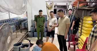 Khởi tố chủ cơ sở ở Quảng Ninh dùng chất cấm kích thích giá đỗ