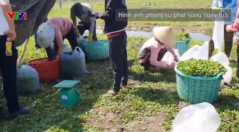 Khởi tố Chủ tịch CCV Group, hàng trăm người bị lừa hơn 1.000 tỷ đồng Khởi tố Chủ tịch CCV Group, hàng trăm người bị lừa hơn 1.000 tỷ đồng