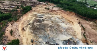 Khởi tố Chủ tịch Hội đồng quản trị, Giám đốc một công ty ở Quảng Ngãi