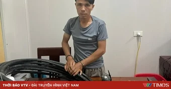 Khởi tố đối tượng cắt trộm cáp điện ngầm trên Quốc lộ 46