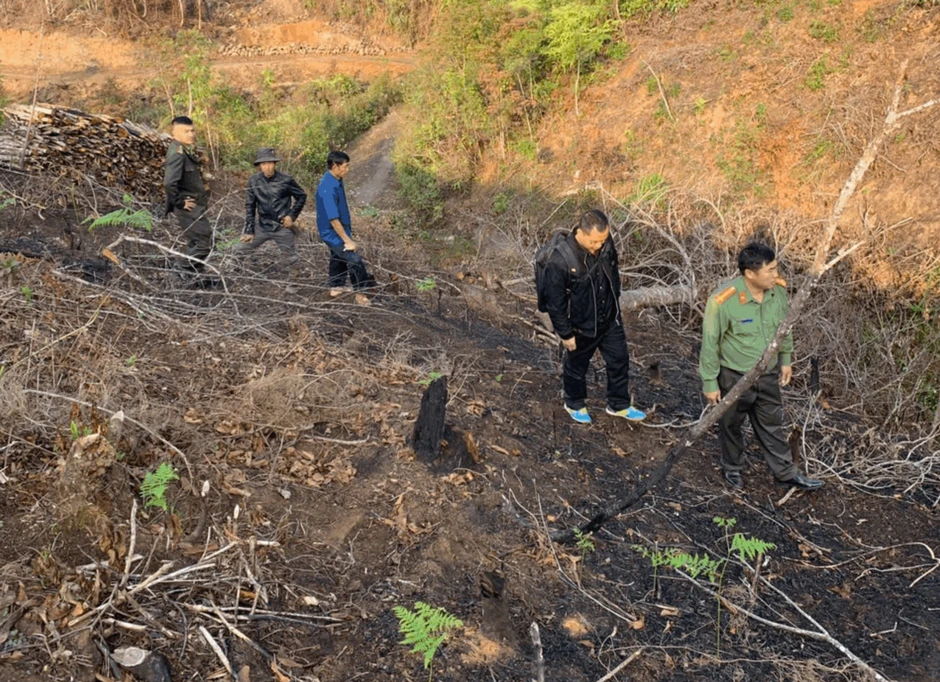 Khởi tố đối tượng hủy hoại rừng ở Mù Cang Chải Khởi tố đối tượng hủy hoại rừng ở Mù Cang Chải