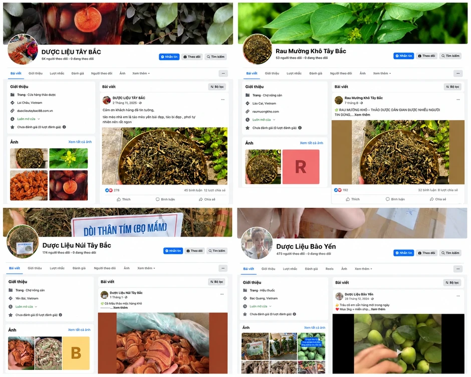 Khởi tố đối tượng lừa bán nhiều tấn thảo mộc qua mạng xã hội Khởi tố đối tượng lừa bán nhiều tấn thảo mộc qua mạng xã hội