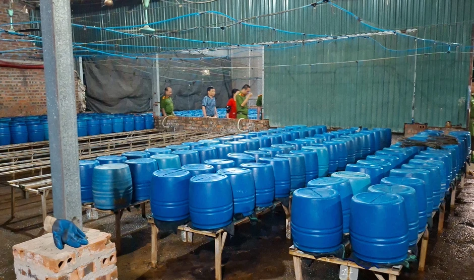 Khởi tố đối tượng sản xuất 510 tấn giá đỗ bằng chất độc 6-Benzylaminopurine Khởi tố đối tượng sản xuất 510 tấn giá đỗ bằng chất độc 6-Benzylaminopurine