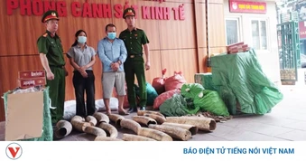 Khởi tố đường dây buôn bán ngà voi, thuốc lá lậu quy mô lớn tại Hà Nội