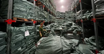 Khởi tố giám đốc bán 10.000 tấn chân gà nhập lậu