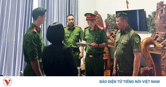 Khởi tố hộ kinh doanh bán gỗ 143 tỷ đồng, chỉ kê khai và nộp thuế 900.000 đồng
